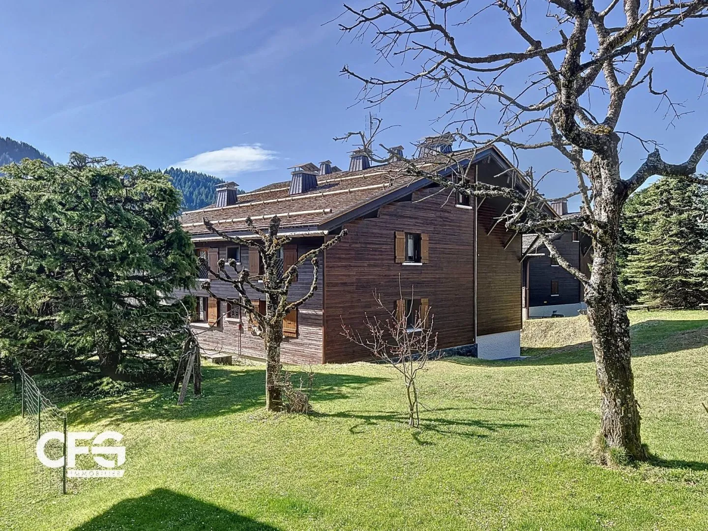 appartement 4 pièces à LE GRAND BORNAND (74450) — photo 4